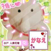 ヒメ日記 2026/02/11 18:05 投稿 かなえ 水戸人妻花壇