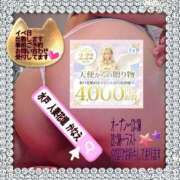 ヒメ日記 2026/02/20 13:09 投稿 かなえ 水戸人妻花壇