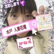 ヒメ日記 2026/02/22 20:45 投稿 かなえ 水戸人妻花壇