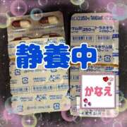 ヒメ日記 2026/03/02 07:27 投稿 かなえ 水戸人妻花壇