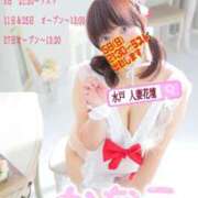 ヒメ日記 2026/04/02 20:30 投稿 かなえ 水戸人妻花壇