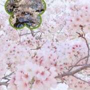 かなえ かなえの休日(つよつよ日＆にちよーびに備えて) 水戸人妻花壇