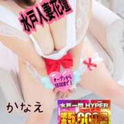 ヒメ日記 2026/04/09 20:03 投稿 かなえ 水戸人妻花壇