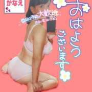 ヒメ日記 2026/04/11 08:03 投稿 かなえ 水戸人妻花壇