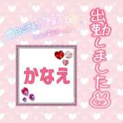 ヒメ日記 2026/04/12 13:35 投稿 かなえ 水戸人妻花壇