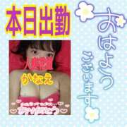 ヒメ日記 2026/04/19 08:46 投稿 かなえ 水戸人妻花壇