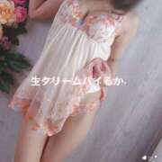 ヒメ日記 2026/02/01 12:46 投稿 特別企画☆るか姫☆ I know すい～つ 生クリームpie