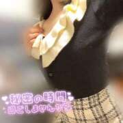 ヒメ日記 2026/02/02 11:33 投稿 あみな Profile～プロフィール～（那覇）