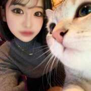 桃李ゆま（スレンダー・美尻） 最近のマイブーム ソープランド ZERO