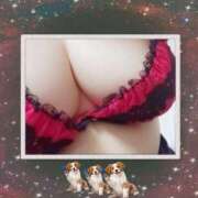 ヒメ日記 2026/02/08 15:41 投稿 まいや 春日部人妻花壇