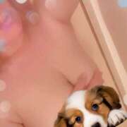 ヒメ日記 2026/03/01 15:31 投稿 まいや 春日部人妻花壇