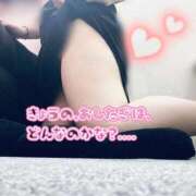 ヒメ日記 2026/02/01 16:32 投稿 はな 白いぽっちゃりさん五反田店