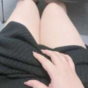 はな とーちゃくでつっ！🐹💕 白いぽっちゃりさん五反田店