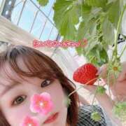 ヒメ日記 2026/03/08 09:29 投稿 はな 白いぽっちゃりさん五反田店