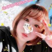 ヒメ日記 2026/03/13 08:49 投稿 はな 白いぽっちゃりさん五反田店