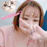 ヒメ日記 2026/03/14 11:59 投稿 はな 白いぽっちゃりさん五反田店