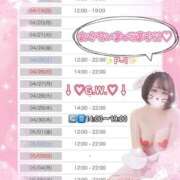 ヒメ日記 2026/04/17 08:31 投稿 はな 白いぽっちゃりさん五反田店