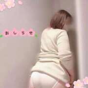 ヒメ日記 2026/04/18 07:29 投稿 はな 白いぽっちゃりさん五反田店