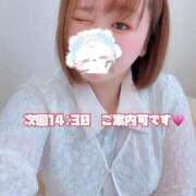 ヒメ日記 2026/04/26 10:29 投稿 はな 白いぽっちゃりさん五反田店