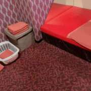 椎名　麗子 大事なのは‥ 雅(みやび)