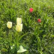 椎名　麗子 お疲れ様です😆 雅(みやび)