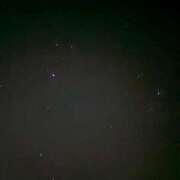 ヒメ日記 2026/04/29 19:49 投稿 椎名　麗子 雅(みやび)