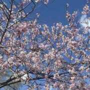 ヒメ日記 2026/05/01 16:04 投稿 椎名　麗子 雅(みやび)