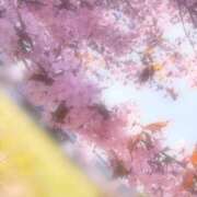 ヒメ日記 2026/05/09 01:27 投稿 椎名　麗子 雅(みやび)