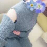 ヒメ日記 2026/02/19 12:19 投稿 朝比奈 すず 絢(あや)