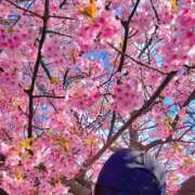 朝比奈 すず お久しぶりの出勤です(*ˊᵕˋ*) 絢(あや)