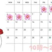 ヒメ日記 2026/04/25 19:02 投稿 うめ メイドde本舗