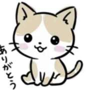 ヒメ日記 2026/06/03 13:15 投稿 うめ メイドde本舗