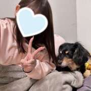 ヒメ日記 2026/02/07 11:36 投稿 まひろ 折り紙 ORIGAMI