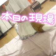 ヒメ日記 2026/02/19 18:36 投稿 まひろ 折り紙 ORIGAMI