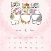 ヒメ日記 2026/03/06 21:14 投稿 美月あずさ しこたま奥様　熊本店（アクセスグループ）