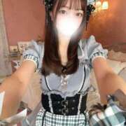 ヒメ日記 2026/02/19 10:04 投稿 みさ【ルックスが官能小説】 STELLA TOKYO－ステラトウキョウ－