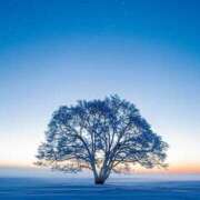 ヒメ日記 2026/03/30 21:29 投稿 しゅうか【パイパン淫M嬢】 セクシャル