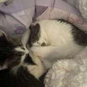 ヒメ日記 2026/02/01 20:03 投稿 ひなみ ルーフ大阪