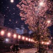 ヒメ日記 2026/04/04 12:50 投稿 まりあ 人妻㊙︎倶楽部