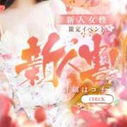 ヒメ日記 2026/02/14 14:05 投稿 かこ おいらん遊郭