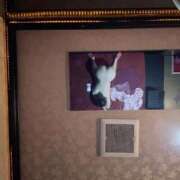 ヒメ日記 2026/04/02 18:07 投稿 かこ おいらん遊郭