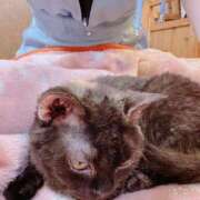 ヒメ日記 2026/02/06 20:49 投稿 あかね まつど女学園