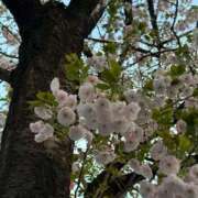 ちなつ 🍓秒速５センチメートル🍓 川崎人妻城