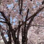 ヒメ日記 2026/04/06 01:05 投稿 るり 熟女の風俗最終章 錦糸町店