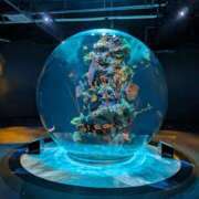 ヒメ日記 2026/04/03 16:57 投稿 ももち ビギナーズ神戸