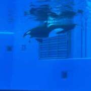 ヒメ日記 2026/04/16 00:37 投稿 ももち ビギナーズ神戸
