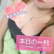 ヒメ日記 2026/02/20 17:08 投稿 なぎ ぽっちゃり巨乳素人専門店ぷにめろ西船橋店