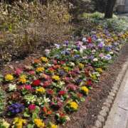 ヒメ日記 2026/03/02 15:43 投稿 さな奥様 人妻です