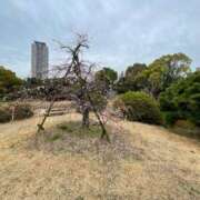 さな奥様 こんにちは 人妻です