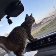 ヒメ日記 2026/02/09 12:08 投稿 ゆうあ ロイヤル土佐